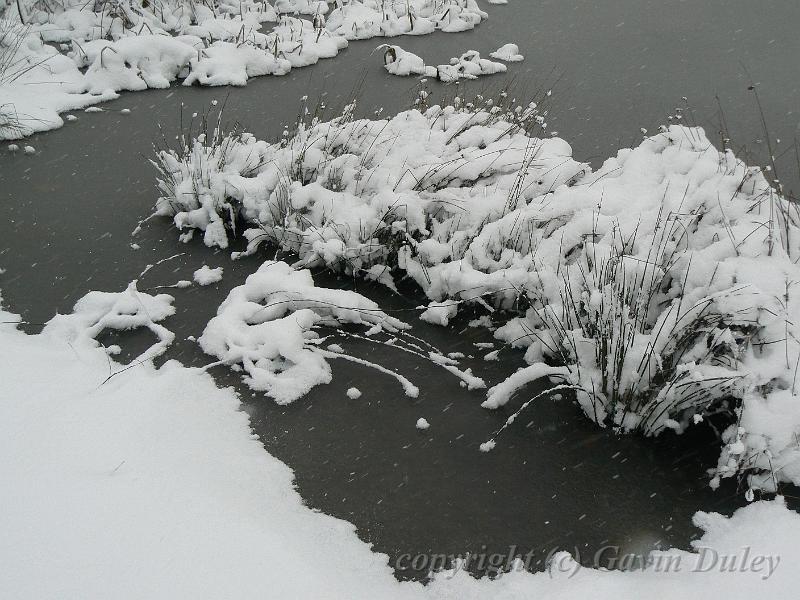 Snow, Blackheath P1070119.JPG